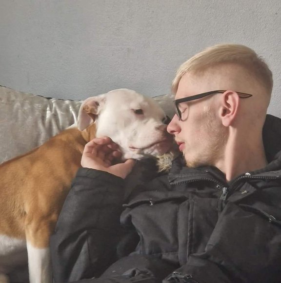 Meet your Posher, Danny - Picture 1 of 1